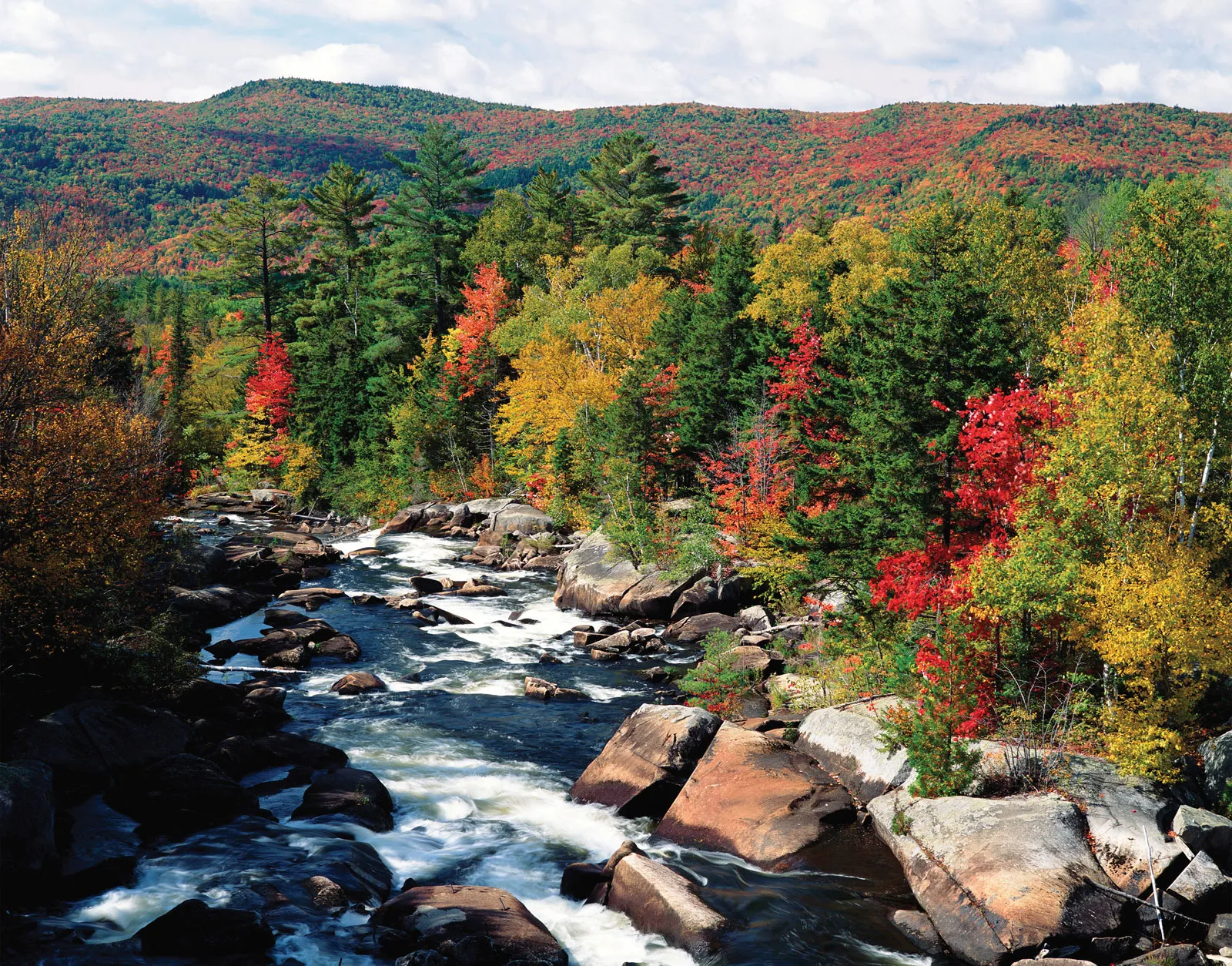 With numerous sections of the river, The Androscoggin River offers excellent habitat for smallmouth bass