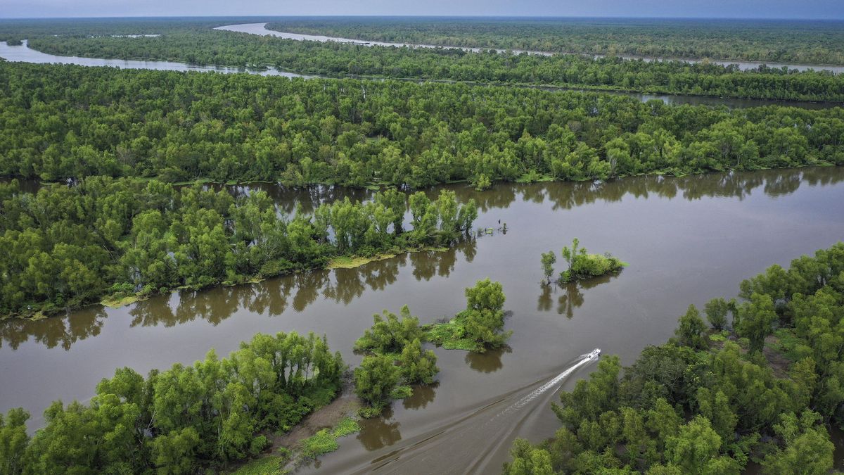 Atchafalaya Basin’s complex network of bayous, swamps, and lakes is home to a variety of fish species