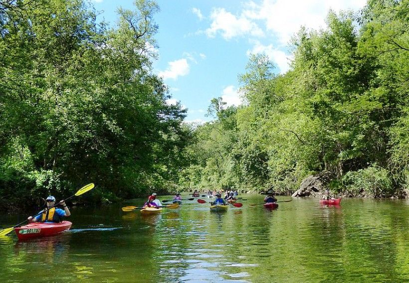 Brandywine Creek State Park offers a peaceful fishing experience