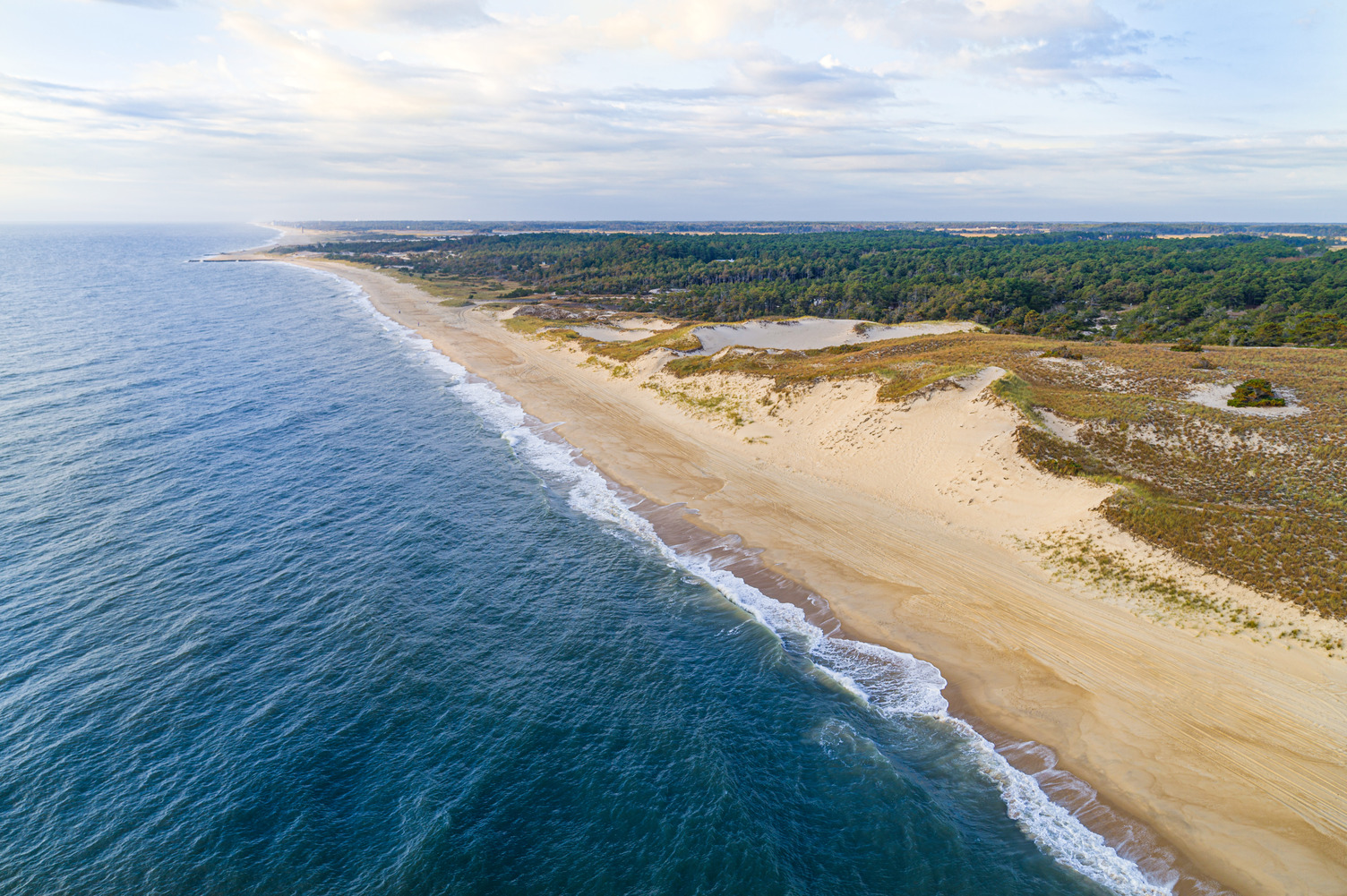 Cape Henlopen State Park offers areas where you can catch flounder, bluefish, and striped bass