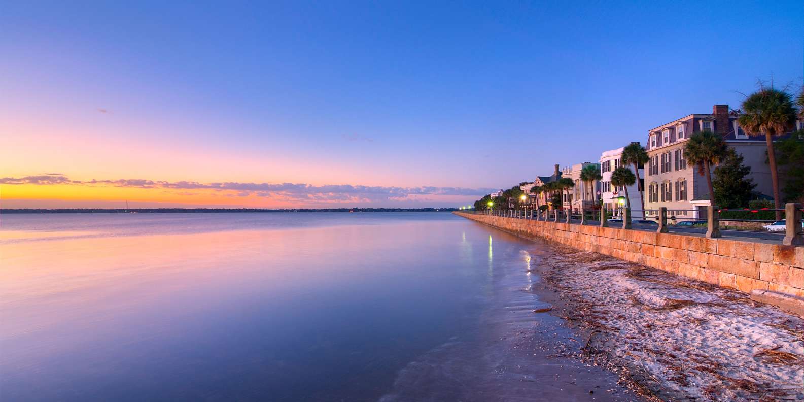 Charleston Harbor's diverse habitats, including tidal creeks, marshes, and deep channels, attract a variety of fish species