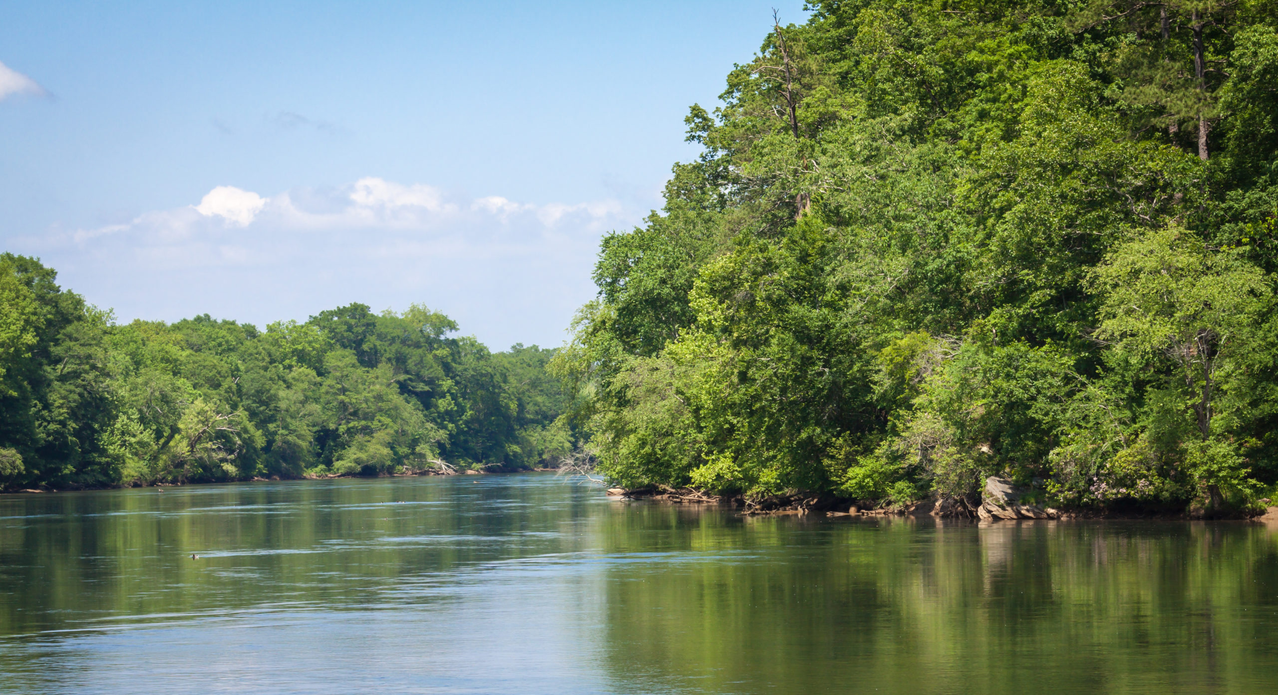 Flowing from the Blue Ridge Mountains to the Gulf of Mexico, the Chattahoochee River offers excellent trout fishing, especially in the upper sections