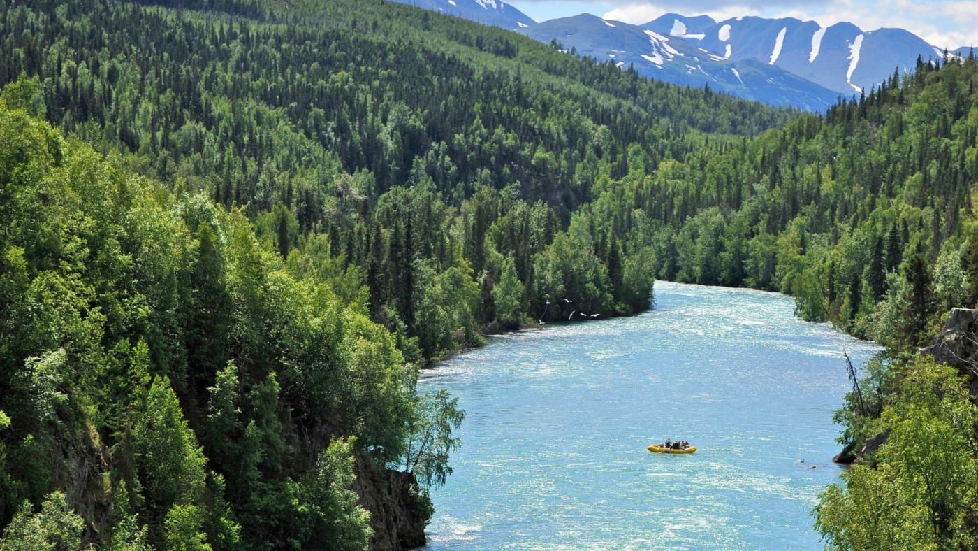 Copper River has every anglers's dream: Red Salmon