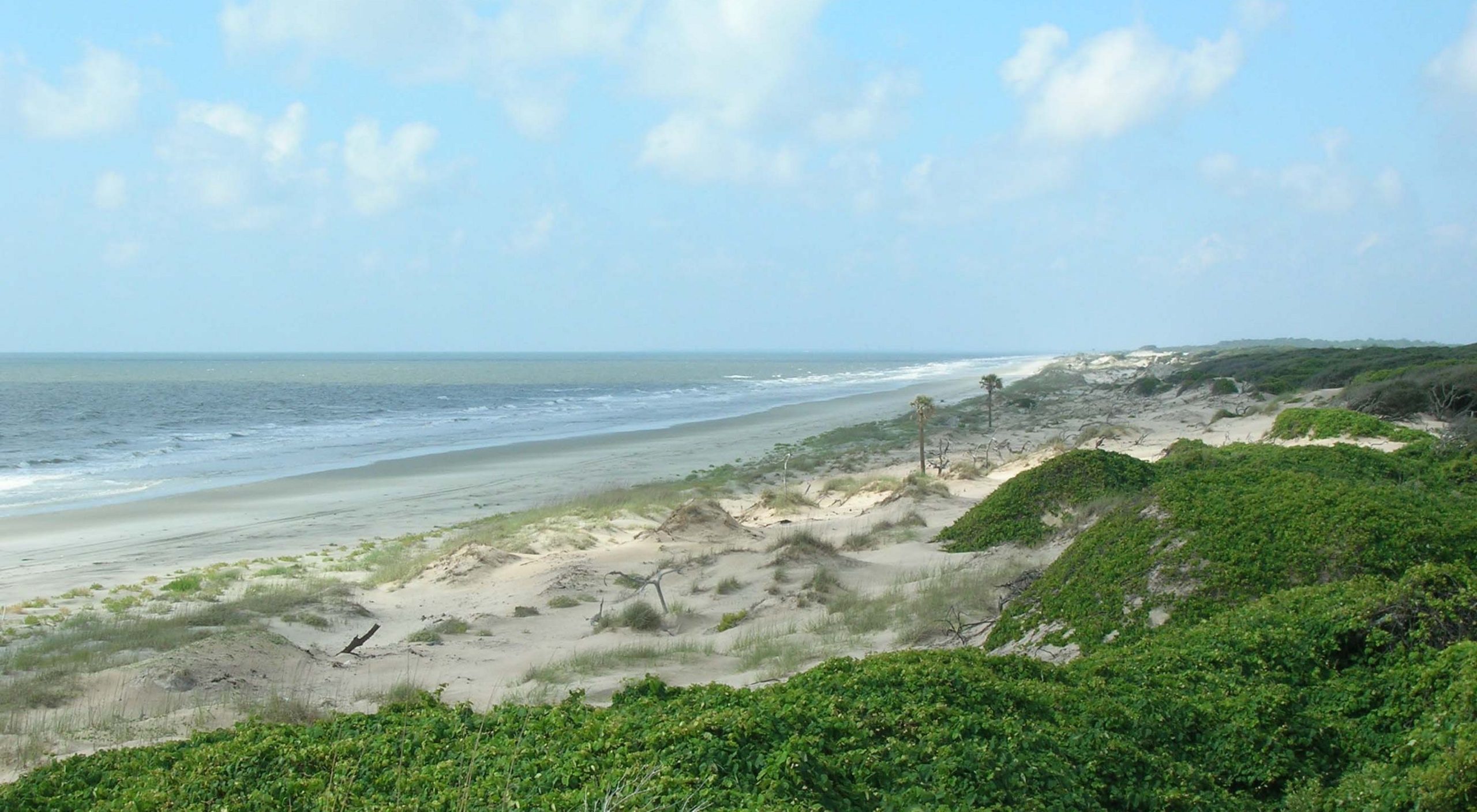 Accessible only by ferry, Cumberland Island offers a remote and pristine fishing experience