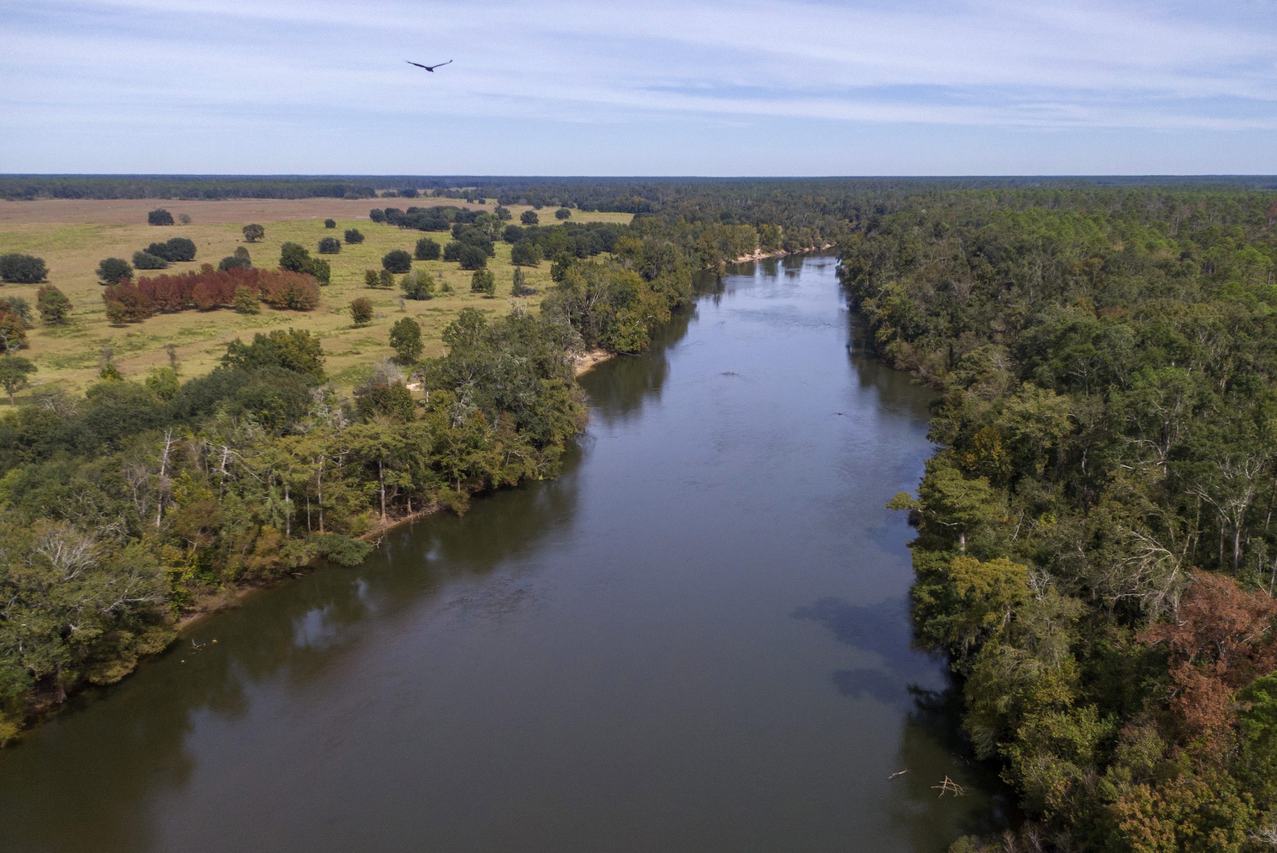 The Flint River is famous for its shoal bass, a species found only in this river system.