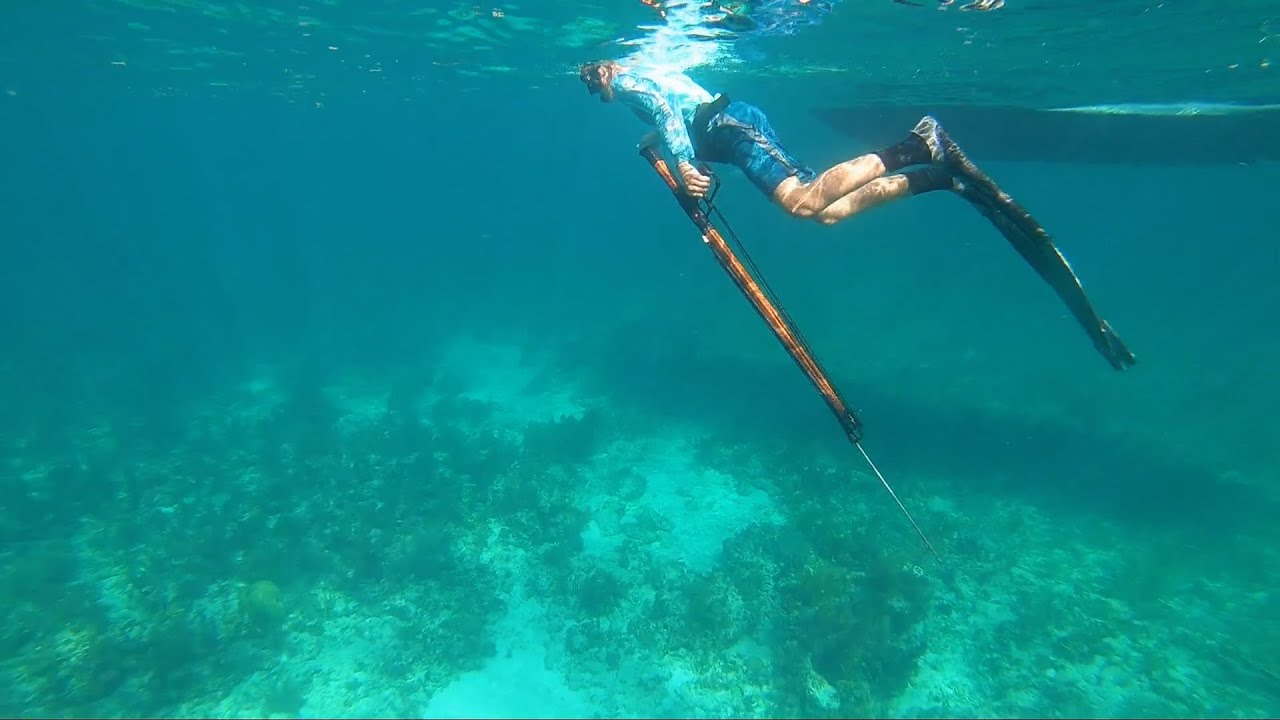 The coral reefs and shipwrecks provide excellent hunting grounds for both beginners and experienced spearos