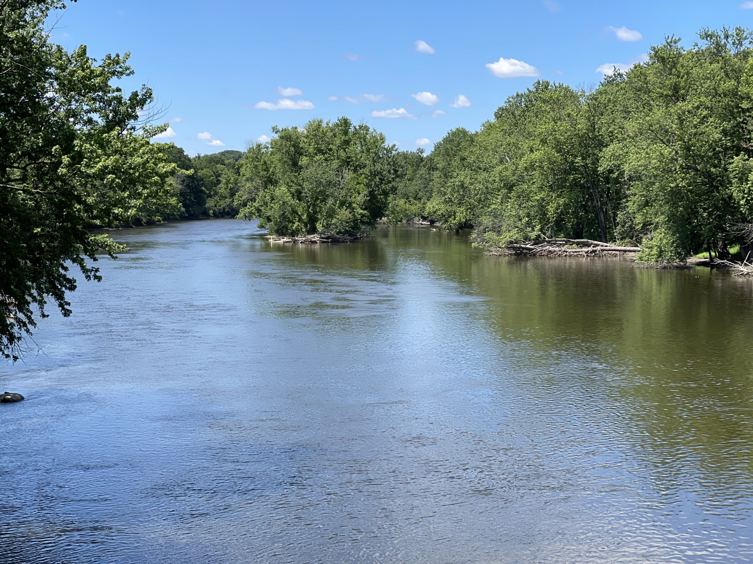 The Grand River is particularly known for its steelhead and salmon runs, which attract anglers to its waters every year