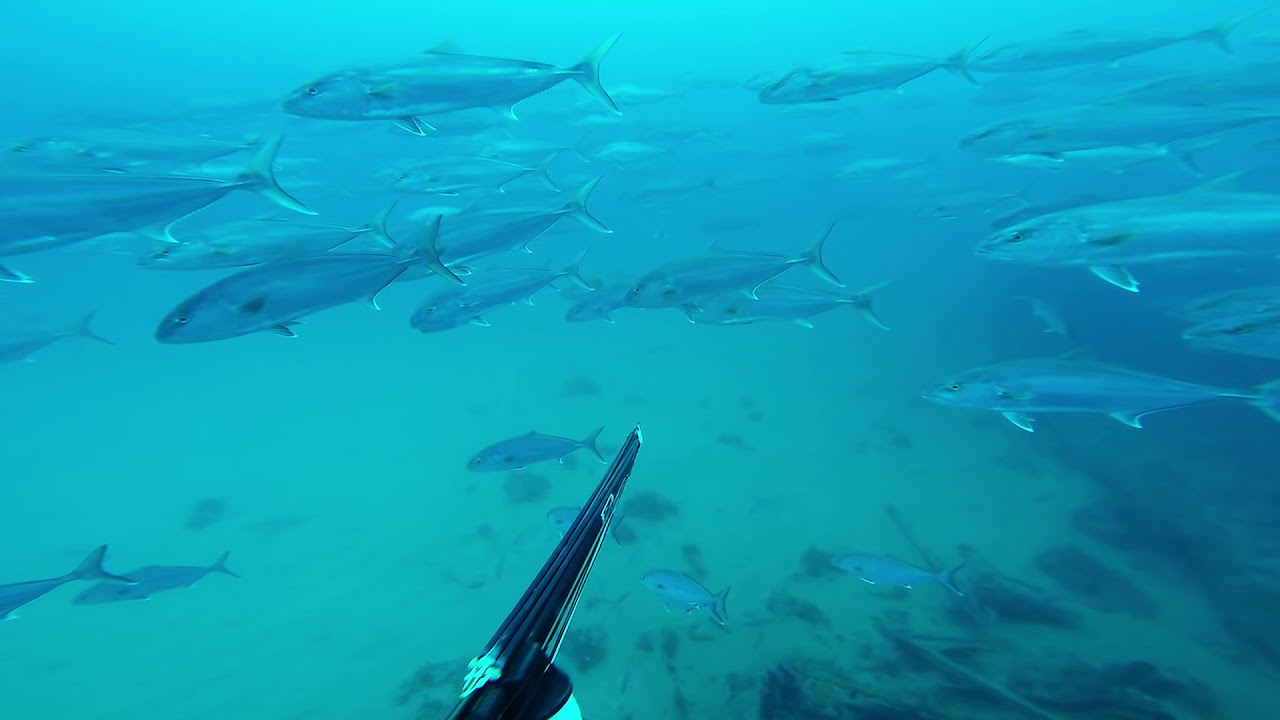 The Gulf of Mexico off the coast of Texas is known for its oil rigs, which create artificial reefs teeming with marine life