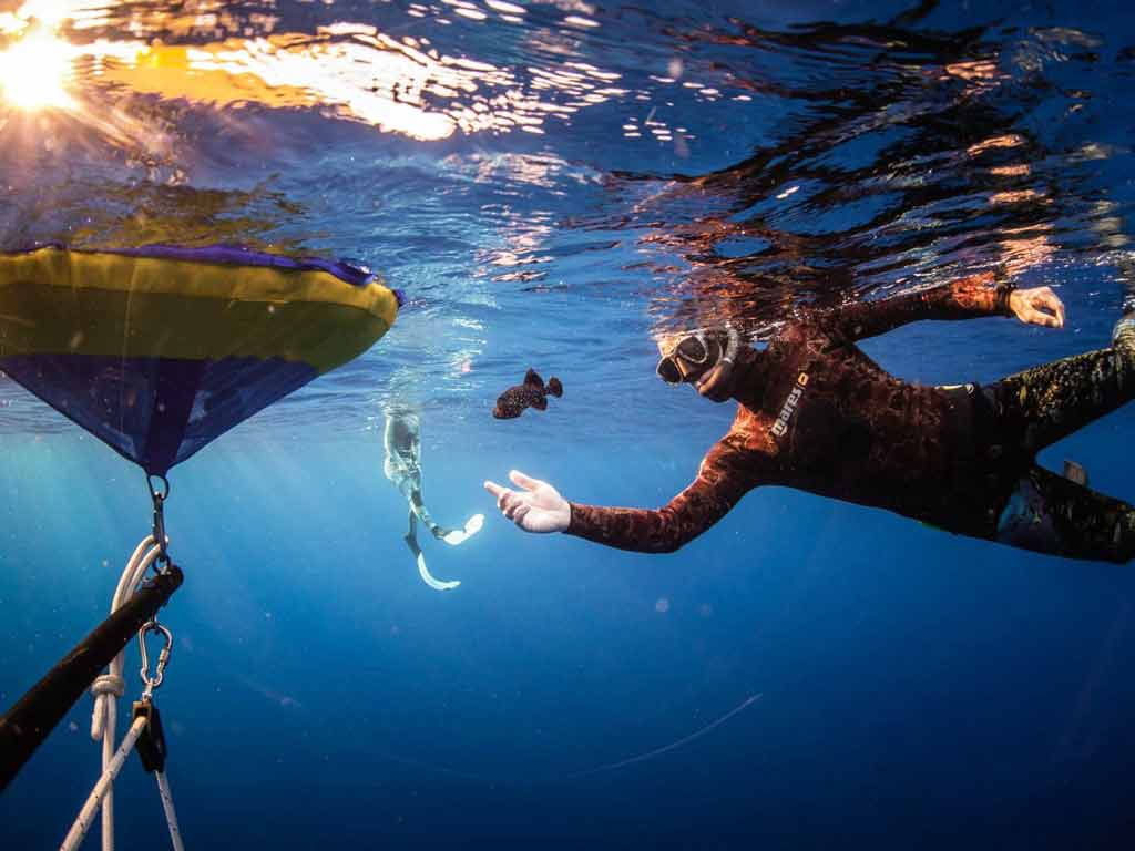 The Hawaiian Islands are a paradise for spearfishers, offering clear waters and an array of fish species