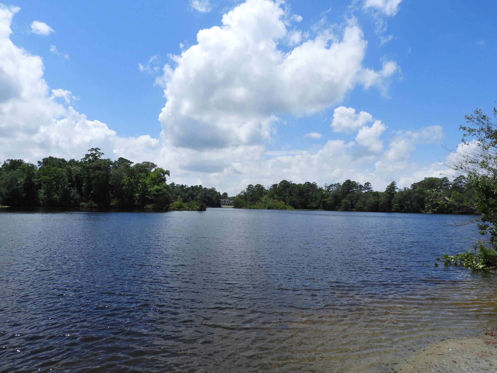 Ingram Pond is a quiet spot for catching bass, sunfish, and catfish