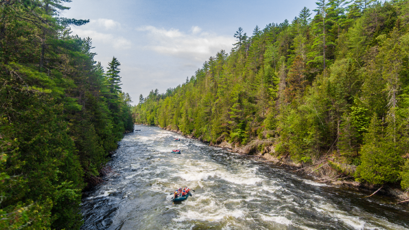 The Kennebec River offers a diverse range of fishing opportunities, from its headwaters to its estuary