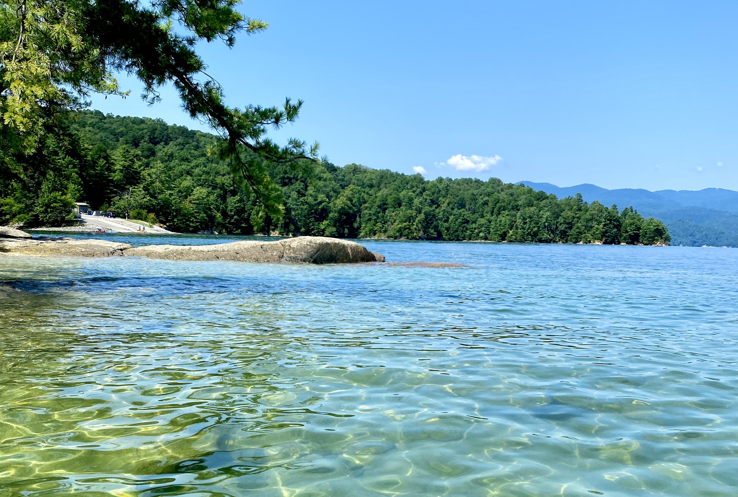 Lake Jocassee supports healthy populations of rainbow, brown, and brook trout, thanks to its cool, oxygen-rich waters