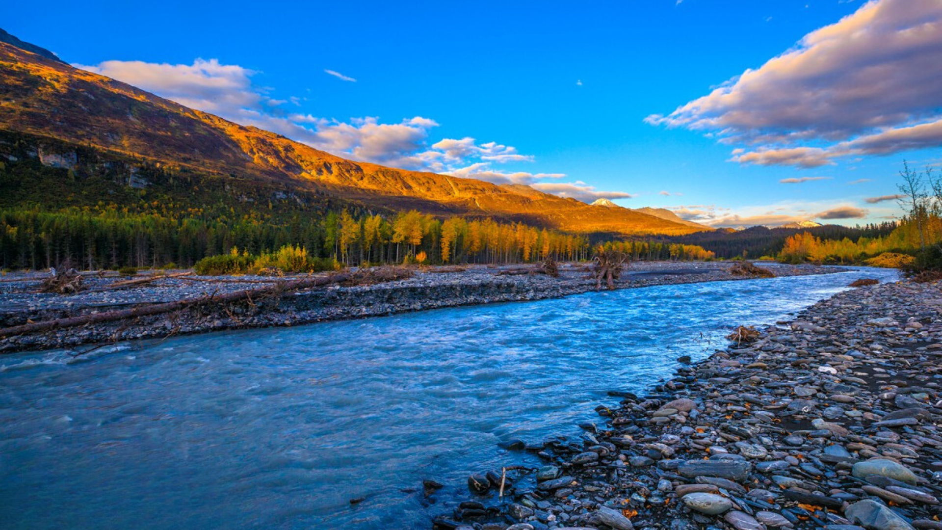 Lowe River: A Salmon Heaven