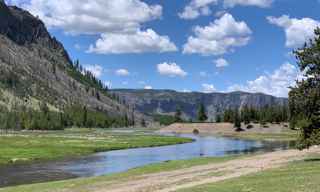 Madison River boasts a high fish population, making it a favorite among fly fishers