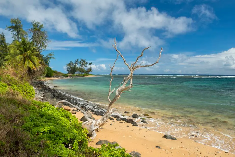 Molokai island offers excellent inshore and fly fishing opportunities