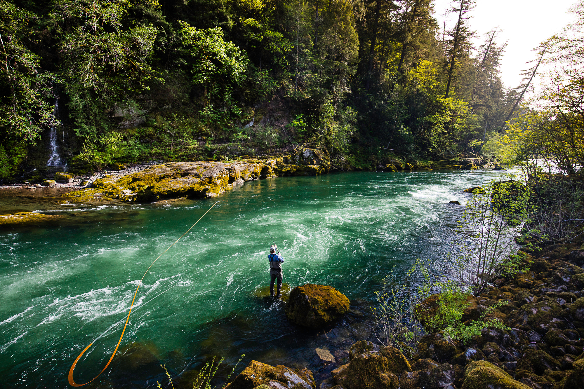 The North Umpqua River is famous for its large steelhead, salmon and sea-run cutthroat trout