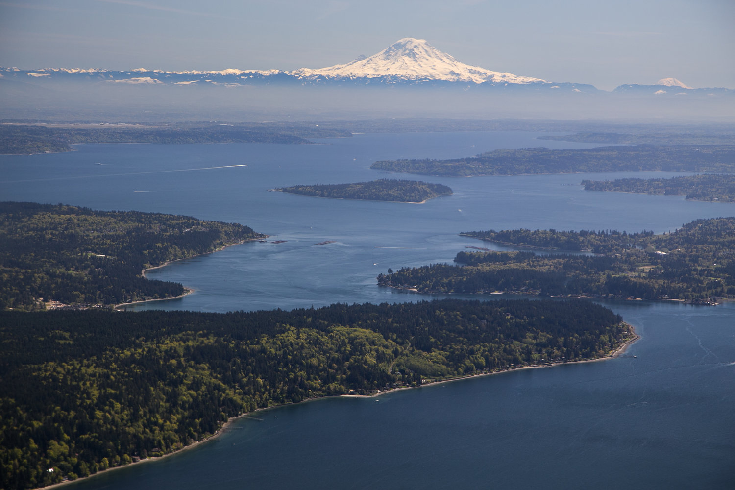 Puget Sound provides a unique cold-water spearfishing experience, with rich marine life and scenic underwater environments