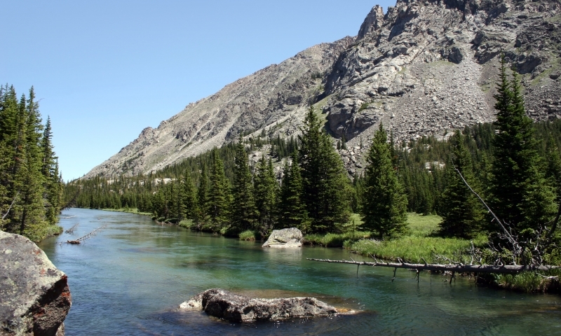 Nestled in the rugged beauty of Montana, Rock Creek offers a variety of trout species, including rainbow, brown, cutthroat, and bull trout