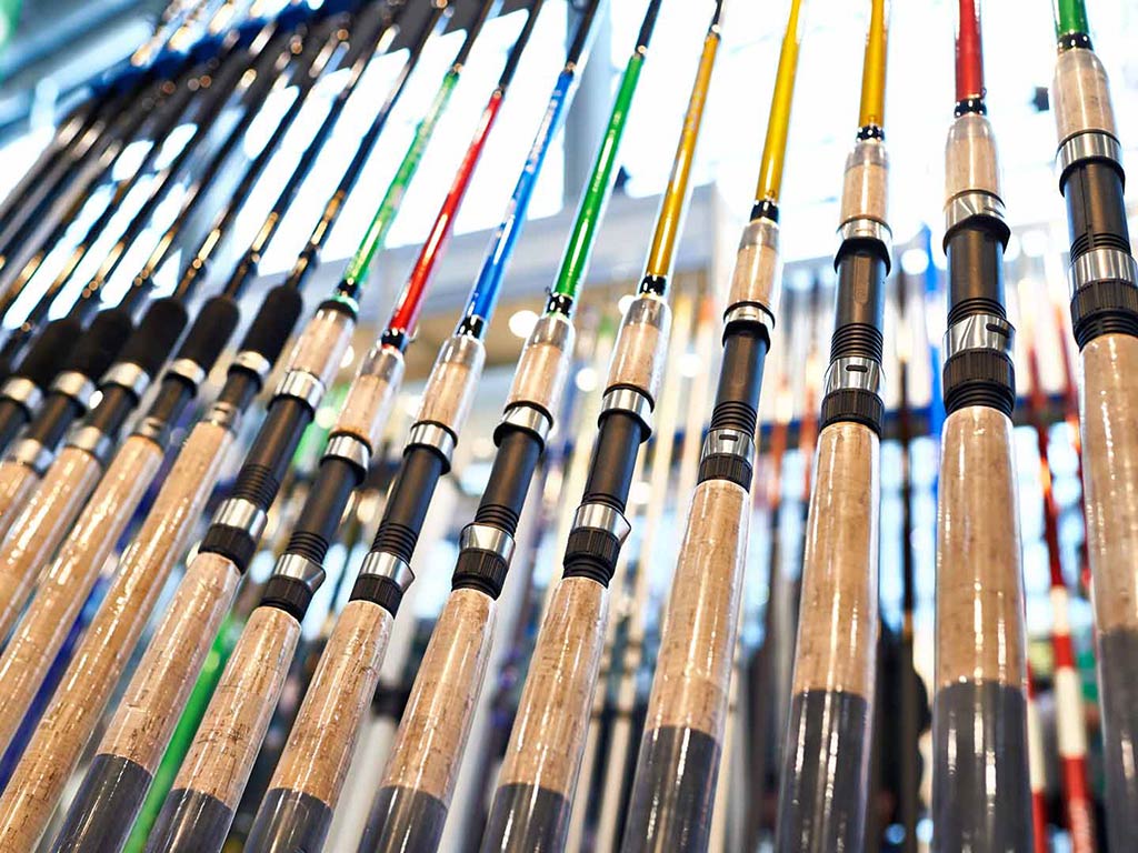 Rod for fishing Saltwater species need to have a heavy power