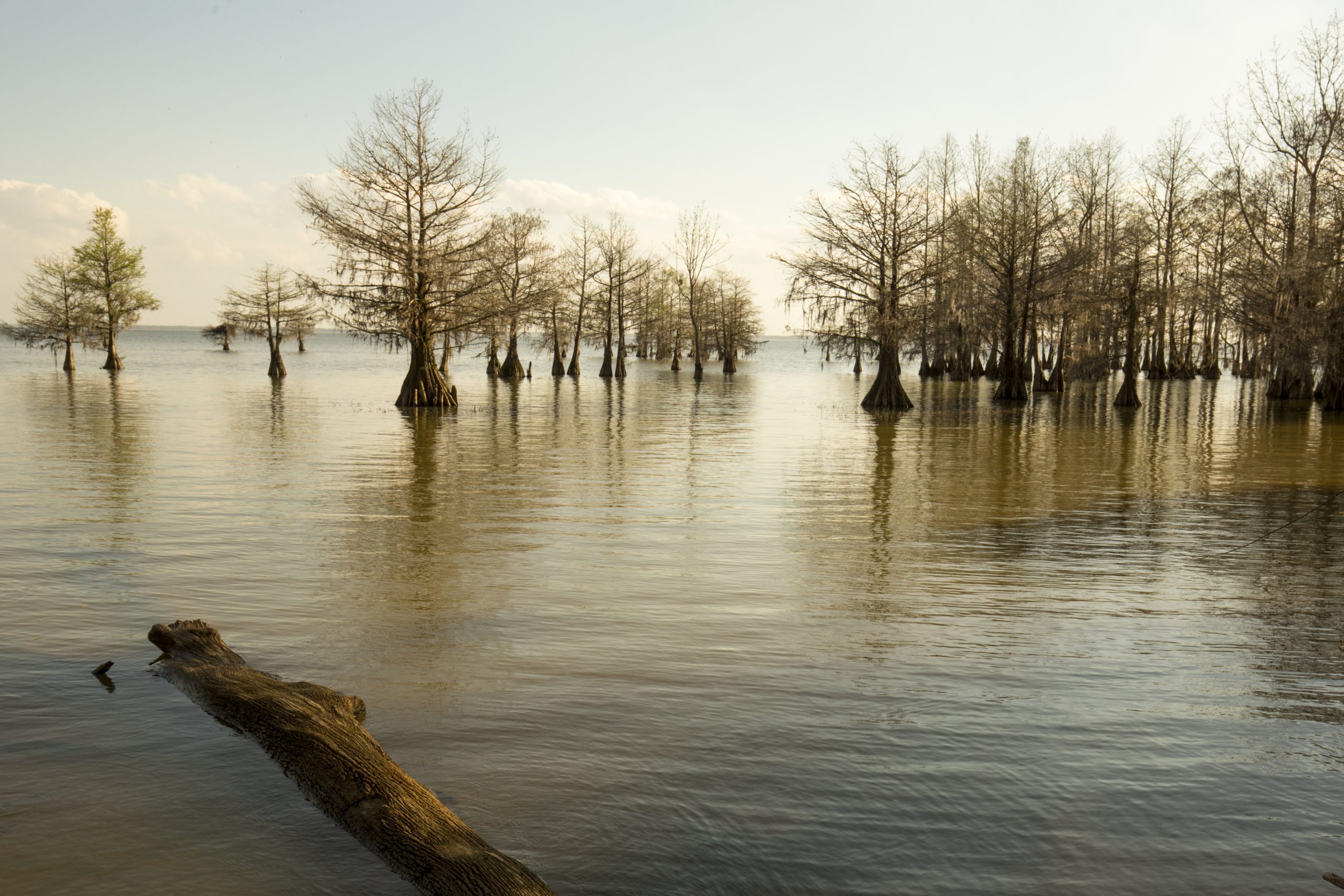 These lakes' extensive shallow areas are perfect for bowfishing