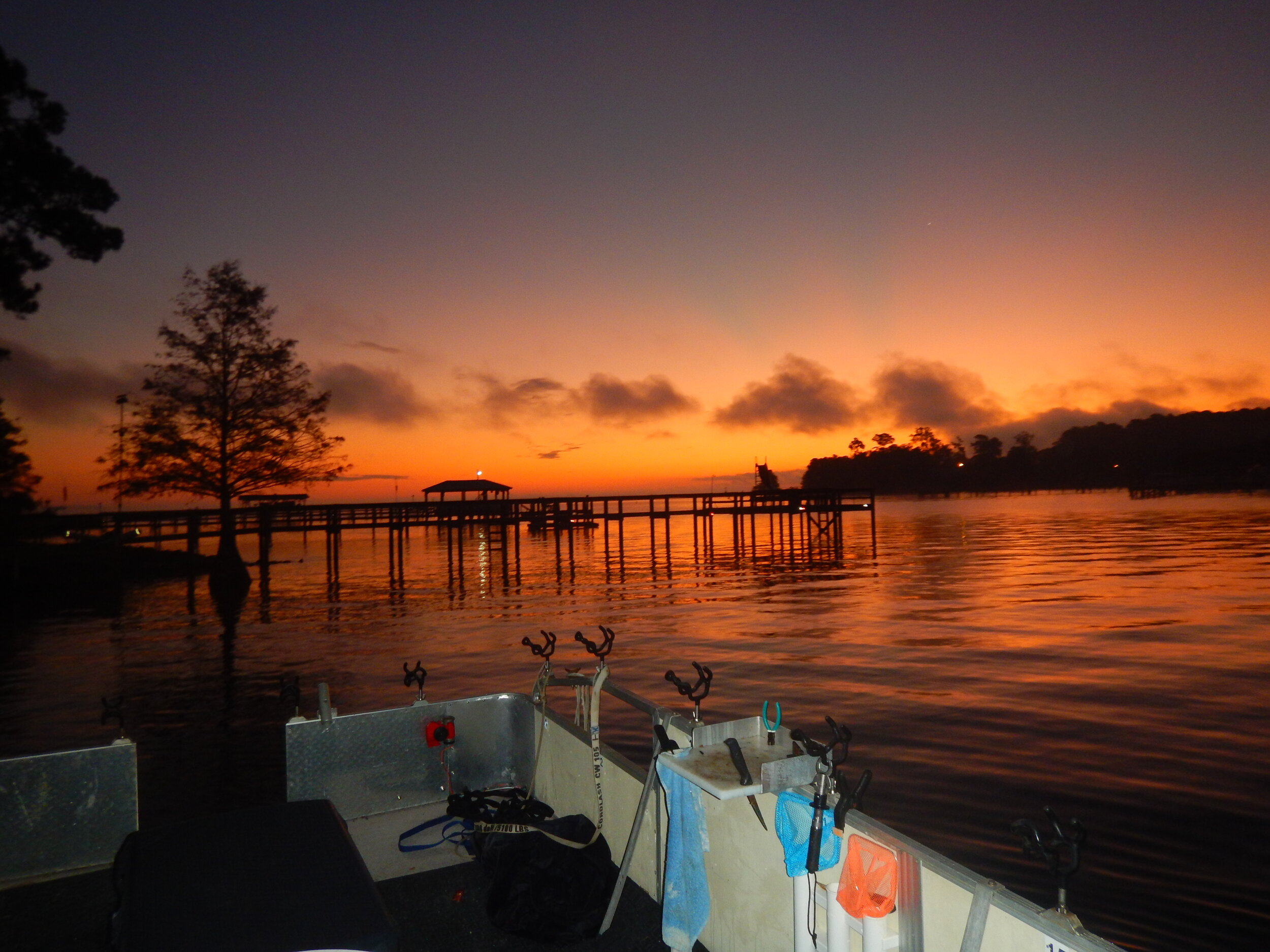 The Santee Cooper Lakes renowned for their catfish populations, particularly the large blue catfish