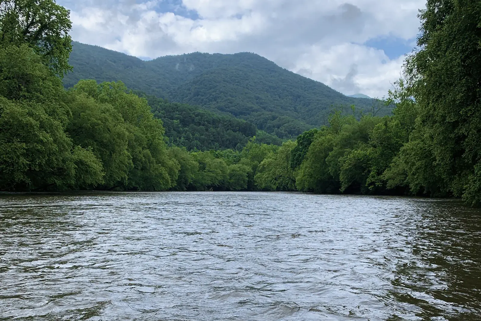 Known as "The Tuck," Tuckasegee River is ideal for fly fishing and is home to some of the largest smallmouth bass