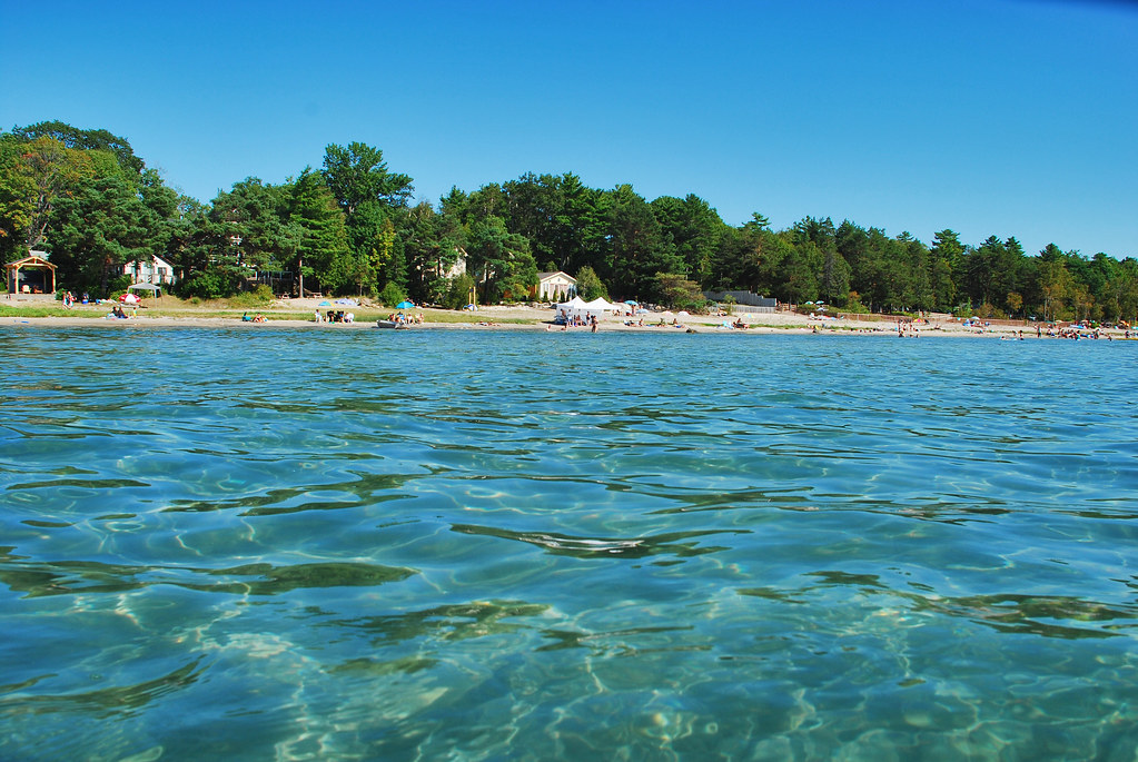 Woodland Beach is known for its abundant fish species such as striped bass, bluefish, and flounder