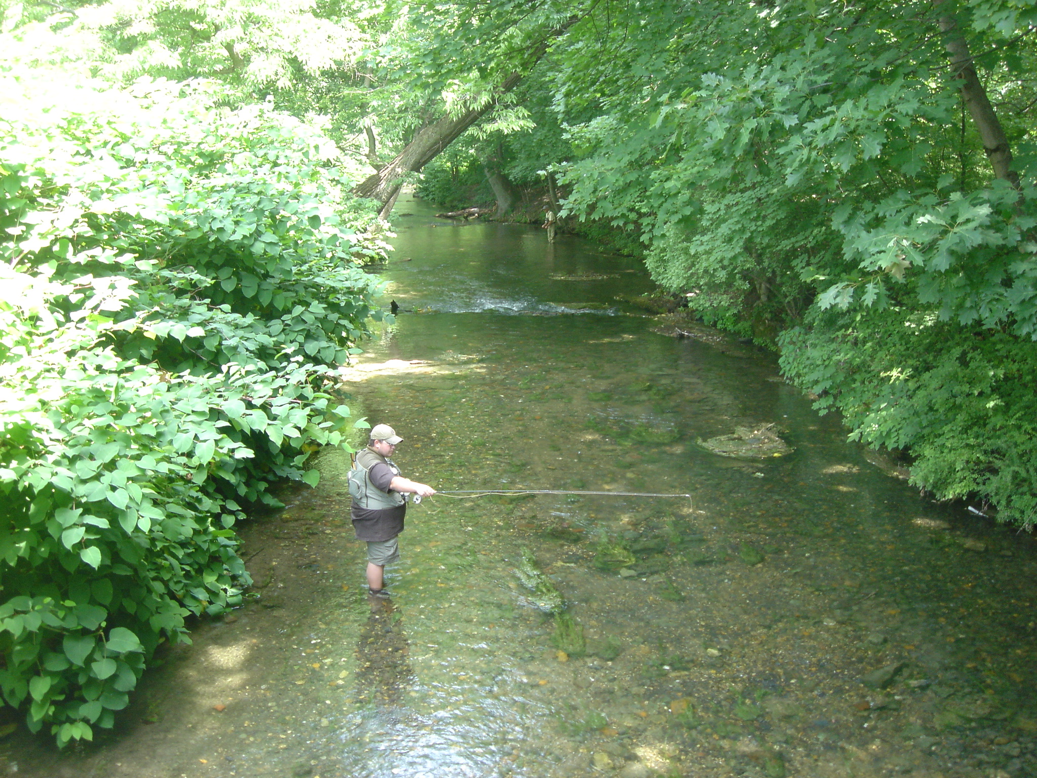 Yellow Breeches Creek is a world-renowned limestone stream, famous for its trout fishing