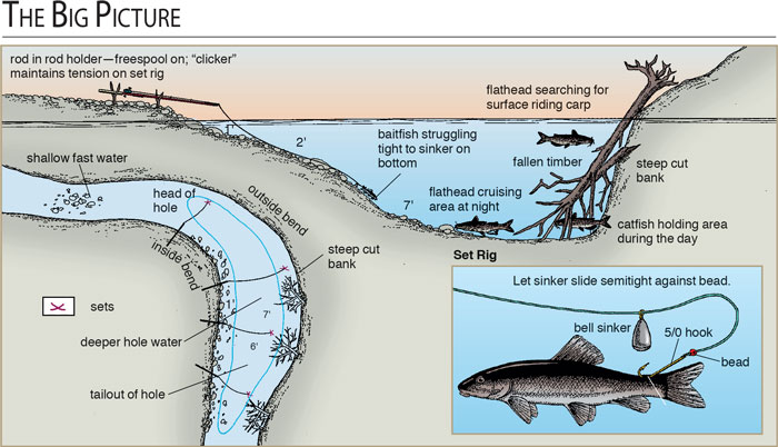 Catfish Fishing Tactics