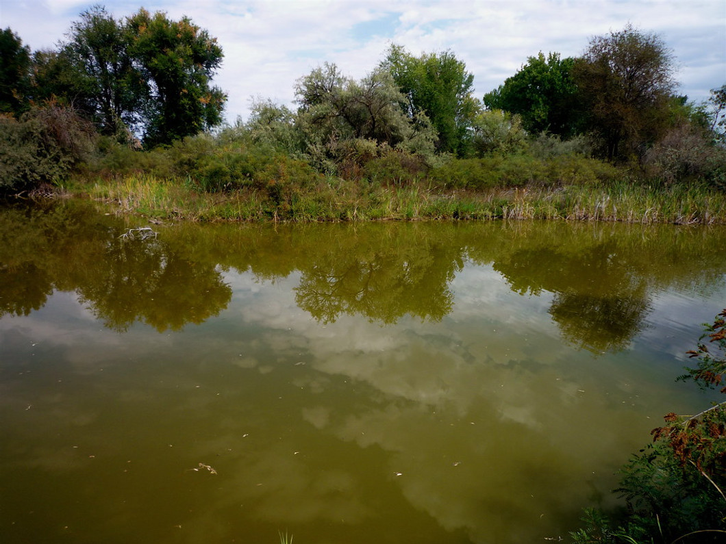 Cloudy weather is ideal for catching catfish