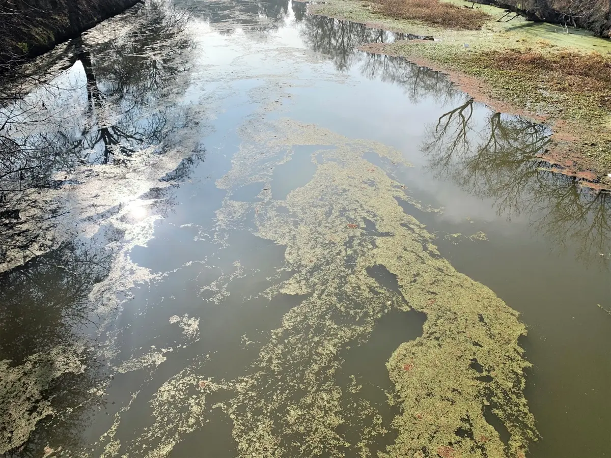 Murky Water can be tricky to fish