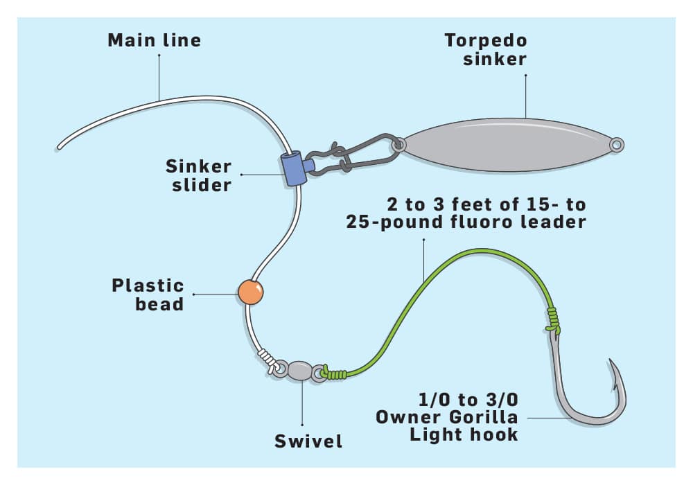 Rigs for fishing halibut