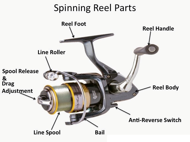 Spinning reel parts