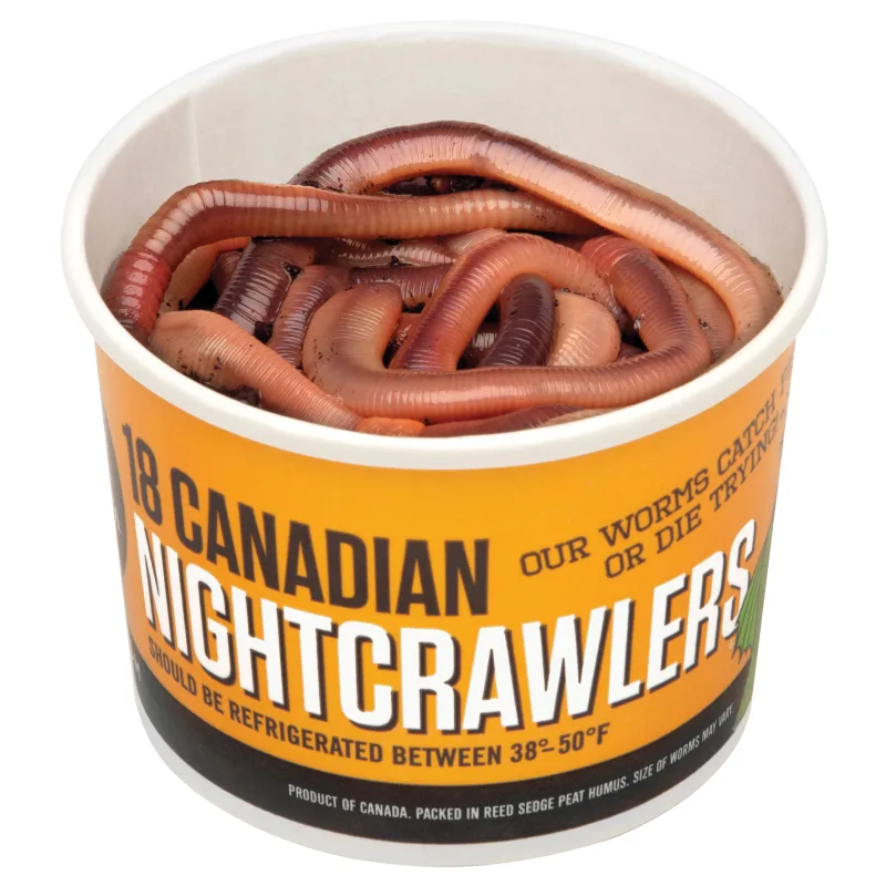 Worm and nightcrawler are legal baits