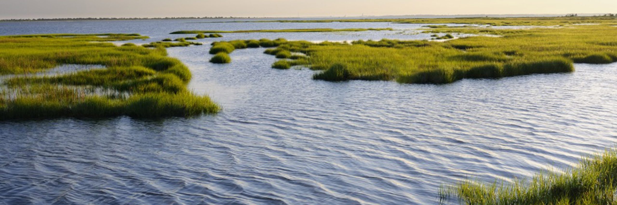 Chesapeake Bay Watershed have a variety of crappie fishing locations