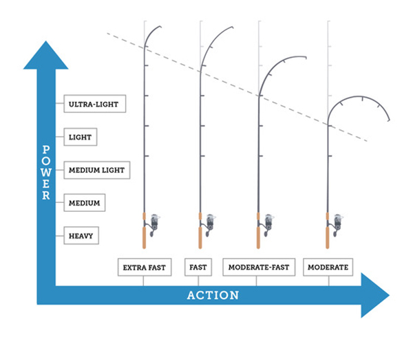 Consider choosing the right rod length for Striped Bass Fishing