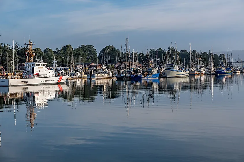 Humboldt Bay can offers trophy-sized Halbut