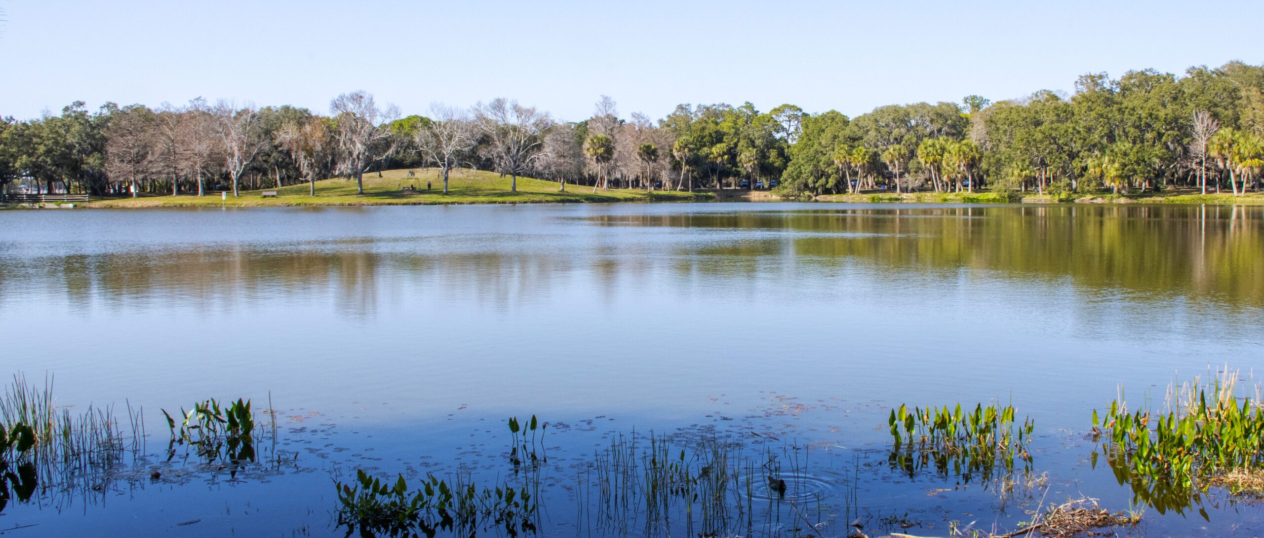 Lake seminole can offer a great size of largemouth bass