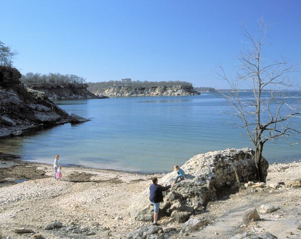 a Large number of Black bullhead can be caught in Lake Texoma