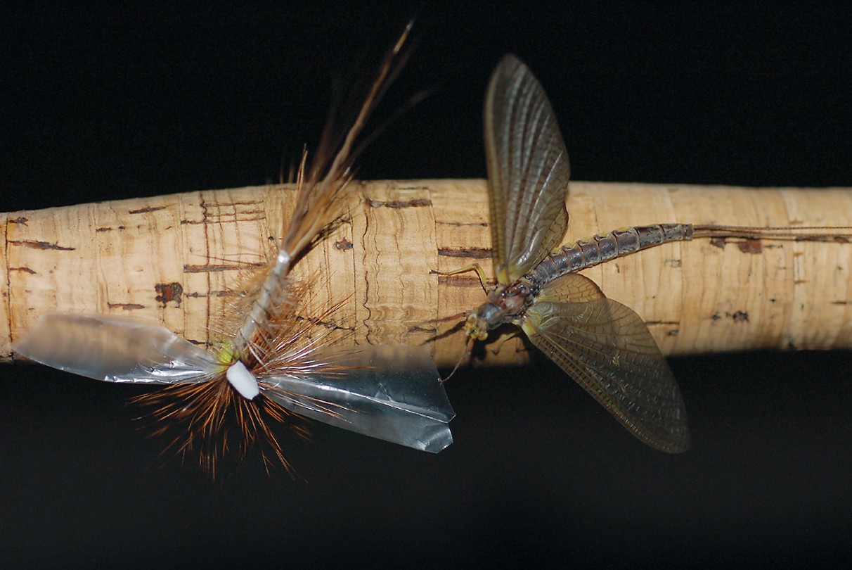 Matching the hatch is useful for trout fishing