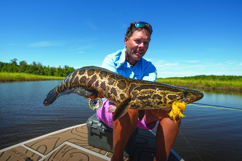 Topwater Fishing can be useful when i comes to catching snakehead