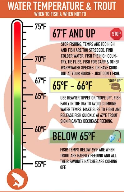 Water temperature ideal for trout fishing