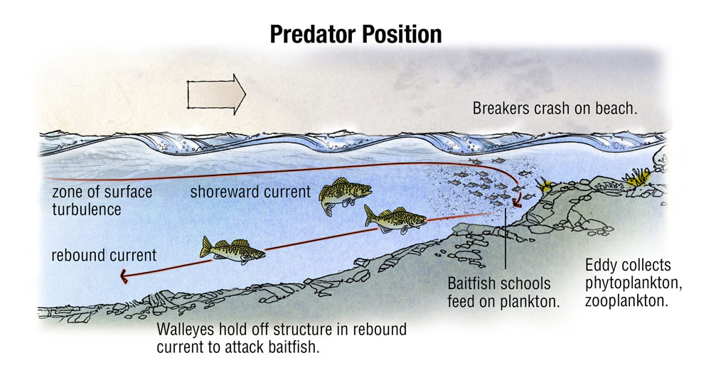 Wind Direction affects walleye fishing techniques