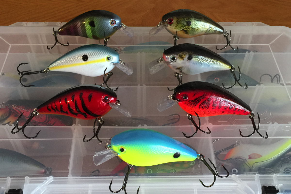 Using brightly colored lures for fishing salmon in murky water