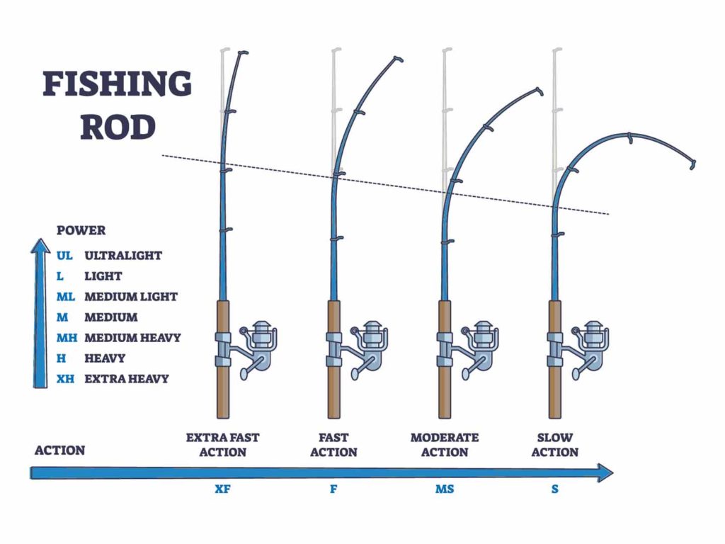 Choosing fishing rod for catching largemouth bass