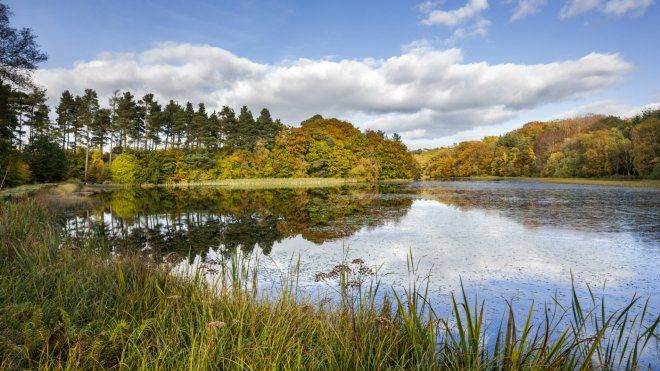 Choosing the edges of lakes to find black bullhead