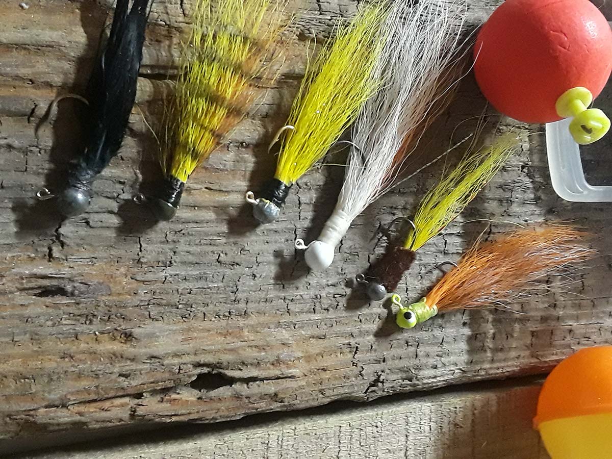 Bucktail jigs can be used for Striped Bass catching